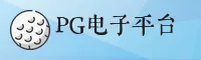 pg电子官方网站