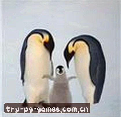刘洋